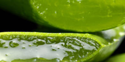Aloe vera gél Immune plus